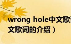 wrong hole中文歌词（关于wrong hole中文歌词的介绍）