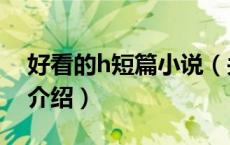 好看的h短篇小说（关于好看的h短篇小说的介绍）
