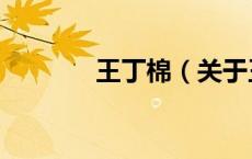 王丁棉（关于王丁棉的介绍）