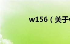 w156（关于w156的介绍）