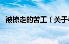 被掠走的苦工（关于被掠走的苦工的介绍）