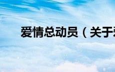 爱情总动员（关于爱情总动员的介绍）