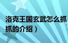 洛克王国玄武怎么抓（关于洛克王国玄武怎么抓的介绍）