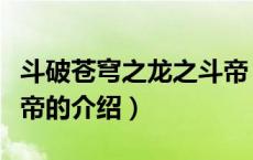 斗破苍穹之龙之斗帝（关于斗破苍穹之龙之斗帝的介绍）