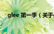 glee 第一季（关于glee 第一季的介绍）