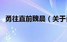 勇往直前魏晨（关于勇往直前魏晨的介绍）
