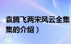 袁腾飞两宋风云全集（关于袁腾飞两宋风云全集的介绍）
