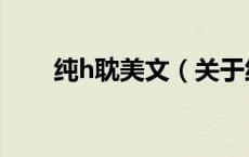 纯h耽美文（关于纯h耽美文的介绍）