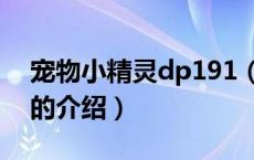 宠物小精灵dp191（关于宠物小精灵dp191的介绍）