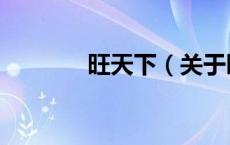 旺天下（关于旺天下的介绍）
