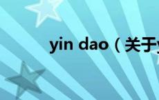 yin dao（关于yin dao的介绍）