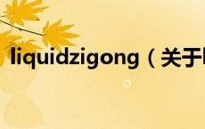 liquidzigong（关于liquidzigong的介绍）