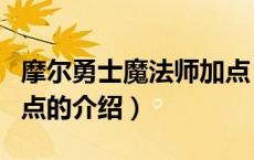 摩尔勇士魔法师加点（关于摩尔勇士魔法师加点的介绍）
