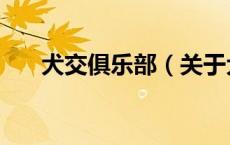 犬交俱乐部（关于犬交俱乐部的介绍）