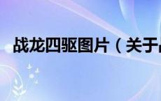 战龙四驱图片（关于战龙四驱图片的介绍）