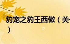 豹宠之豹王西傲（关于豹宠之豹王西傲的介绍）