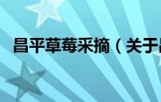 昌平草莓采摘（关于昌平草莓采摘的介绍）