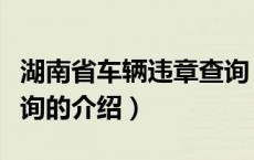 湖南省车辆违章查询（关于湖南省车辆违章查询的介绍）