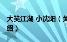 大笑江湖 小沈阳（关于大笑江湖 小沈阳的介绍）