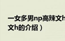 一女多男np高辣文h（关于一女多男np高辣文h的介绍）