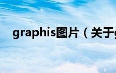 graphis图片（关于graphis图片的介绍）