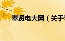 奉贤电大网（关于奉贤电大网的介绍）