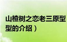 山楂树之恋老三原型（关于山楂树之恋老三原型的介绍）