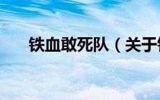 铁血敢死队（关于铁血敢死队的介绍）