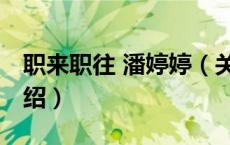 职来职往 潘婷婷（关于职来职往 潘婷婷的介绍）