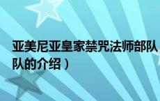 亚美尼亚皇家禁咒法师部队（关于亚美尼亚皇家禁咒法师部队的介绍）