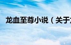 龙血至尊小说（关于龙血至尊小说的介绍）