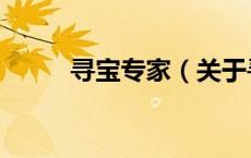 寻宝专家（关于寻宝专家的介绍）