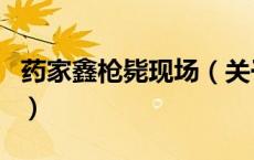 药家鑫枪毙现场（关于药家鑫枪毙现场的介绍）
