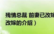 残情总裁 前妻已改嫁（关于残情总裁 前妻已改嫁的介绍）