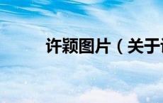 许颖图片（关于许颖图片的介绍）