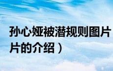 孙心娅被潜规则图片（关于孙心娅被潜规则图片的介绍）
