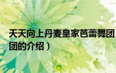 天天向上丹麦皇家芭蕾舞团（关于天天向上丹麦皇家芭蕾舞团的介绍）
