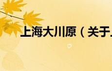 上海大川原（关于上海大川原的介绍）