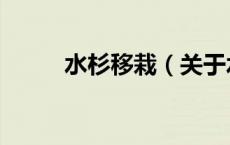 水杉移栽（关于水杉移栽的介绍）