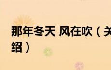 那年冬天 风在吹（关于那年冬天 风在吹的介绍）