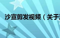 沙宣剪发视频（关于沙宣剪发视频的介绍）