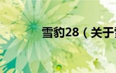 雪豹28（关于雪豹28的介绍）