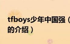 tfboys少年中国强（关于tfboys少年中国强的介绍）
