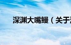 深渊大嘴鳗（关于深渊大嘴鳗的介绍）