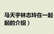 马天宇林志玲在一起（关于马天宇林志玲在一起的介绍）