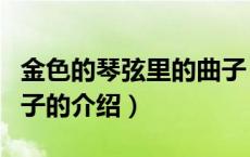 金色的琴弦里的曲子（关于金色的琴弦里的曲子的介绍）