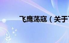 飞鹰荡寇（关于飞鹰荡寇的介绍）