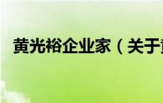 黄光裕企业家（关于黄光裕企业家的介绍）