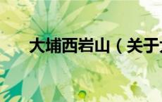 大埔西岩山（关于大埔西岩山的介绍）