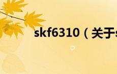 skf6310（关于skf6310的介绍）